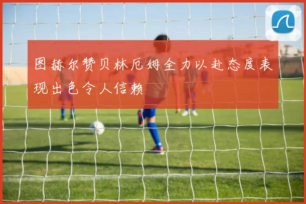 图赫尔赞贝林厄姆全力以赴态度表现出色令人信赖